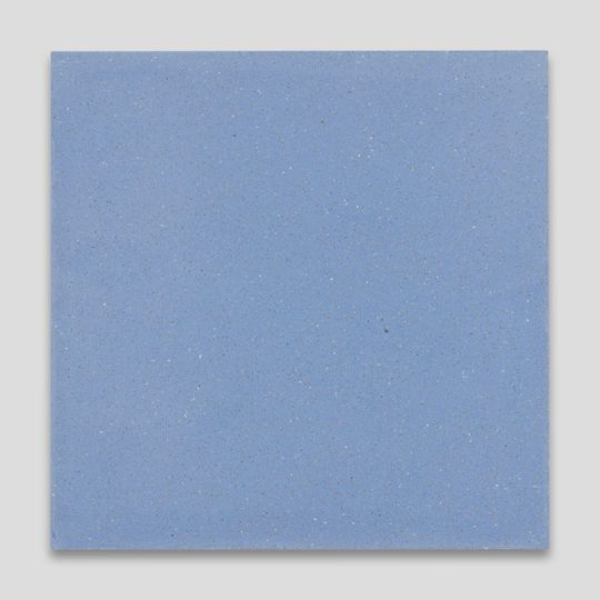 Blue Encaustic Cement Tile